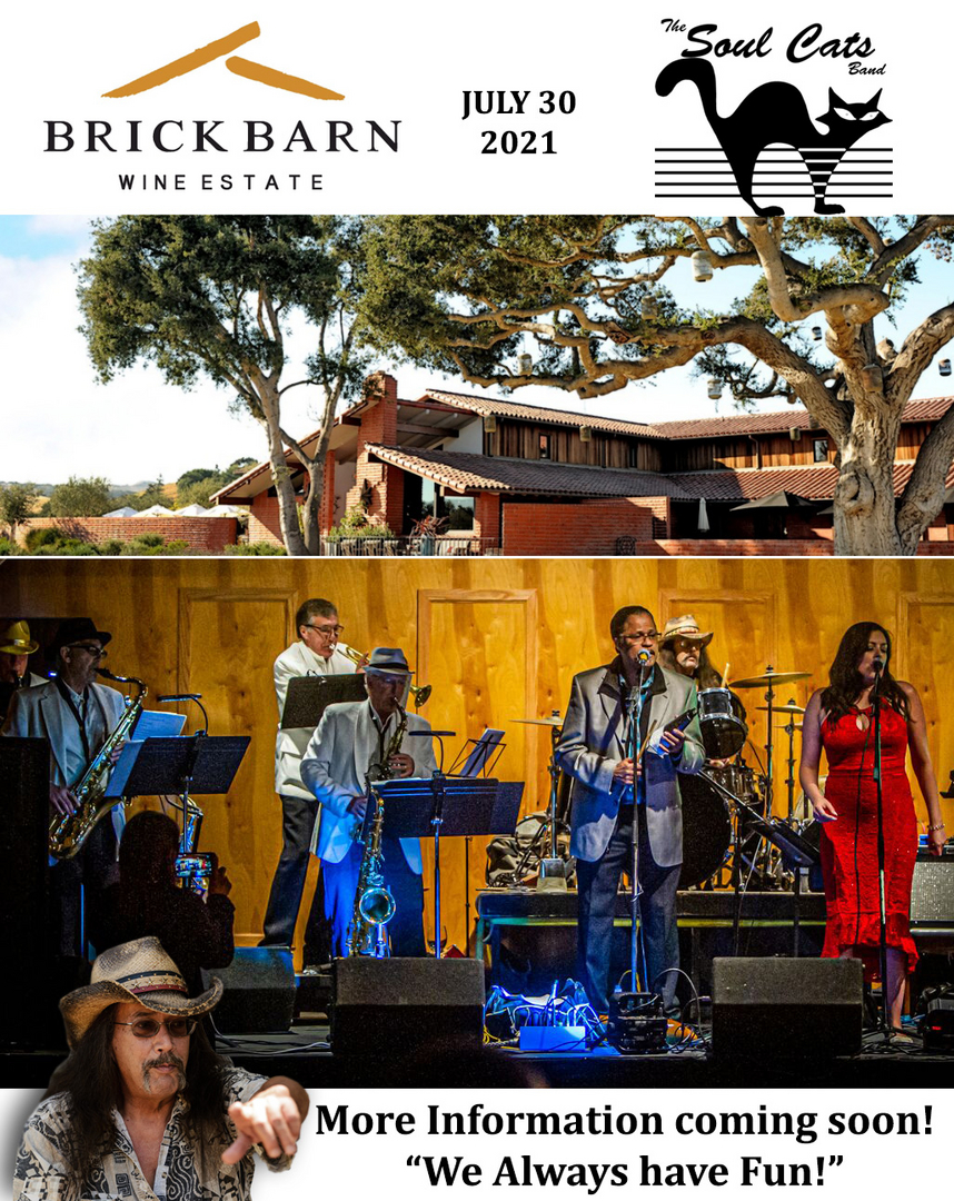 Soul Cats performance 19